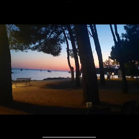 Apartman Sija Novigrad Novigrad Istria Esterno foto