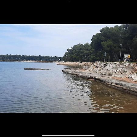 Apartman Sija Novigrad Novigrad Istria Esterno foto