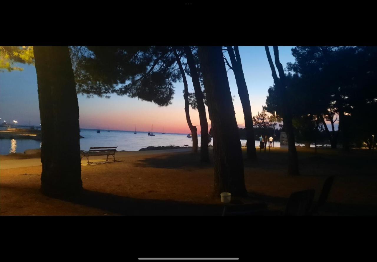 Apartman Sija Novigrad Novigrad Istria Esterno foto