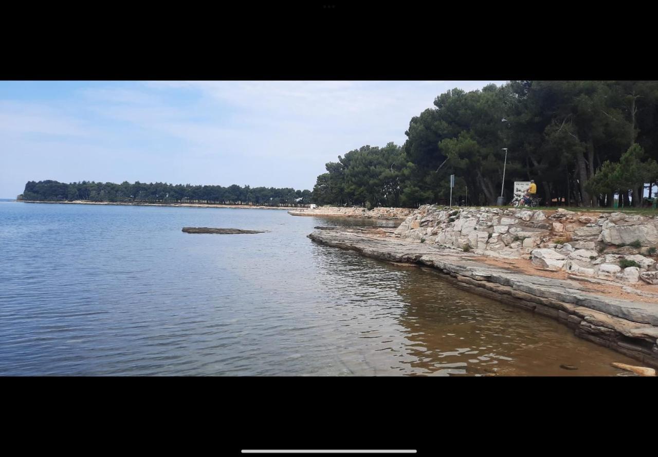Apartman Sija Novigrad Novigrad Istria Esterno foto
